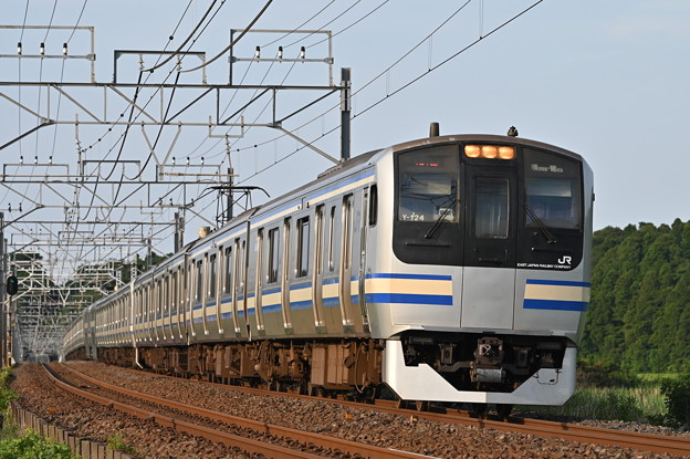 写真: 総武線快速列車 (E217系)