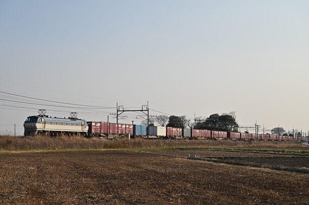 写真: コンテナ貨物列車 (EF66130)