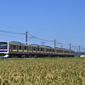 Photos: 成田線普通列車 (209系)