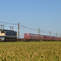 Photos: 貨物列車 (EF652097)