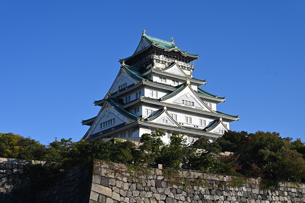 Photos: 大阪城