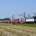 Photos: 貨物列車 1093レ (EF652063)