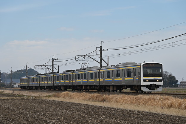 写真: 成田線普通列車 (209系)