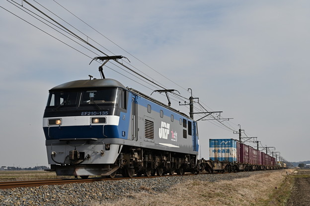 貨物列車 (EF210-135)
