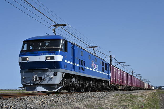 写真: 貨物列車 1094レ (EF210-123)