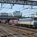 貨物列車 (EF66 118)