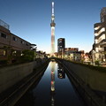 東京スカイツリーと金星 (水鏡)