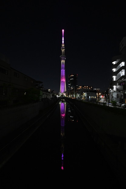東京スカイツリーと金星 (少し水鏡)