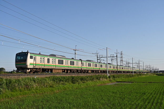 写真: 東北本線 普通列車 (E233系)