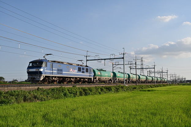 写真: 貨物列車 臨8571レ (EF210-124)