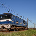 写真: 貨物列車 (EF210-328)