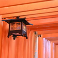 写真: 伏見稲荷大社 千本鳥居と吊り灯籠