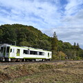 写真: 八高線普通列車 (キハ110)