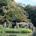 Photos: 小石川後楽園 蓬莱島と徳大寺石