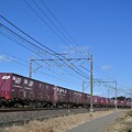 写真: 貨物列車 1093レ (後追い)
