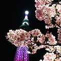 写真: 東京スカイツリーと桜