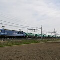 写真: 貨物列車 (EF210-2)