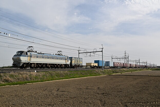 写真: 貨物列車 (EF66128)