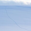 雪原の足跡