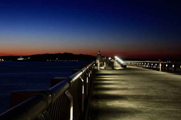 Photos: 港の夜景