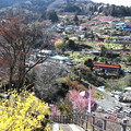 写真: 東秩父村　大内沢の桃の郷