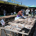 写真: 那珂湊の魚市場風景