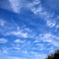 Photos: 今日の空　巻雲