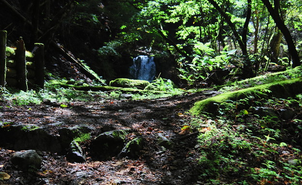 写真: 丸神の滝への登山道１