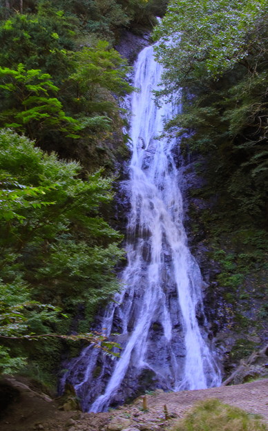写真: 日本滝１００選　丸神の滝