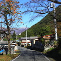 谷川岳への旧街道の秋