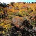 Photos: 山の紅葉　谷川岳