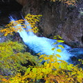 写真: 照葉峡　潜龍の滝の紅葉