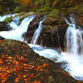 Photos: 落葉と滝の紅葉　照葉峡