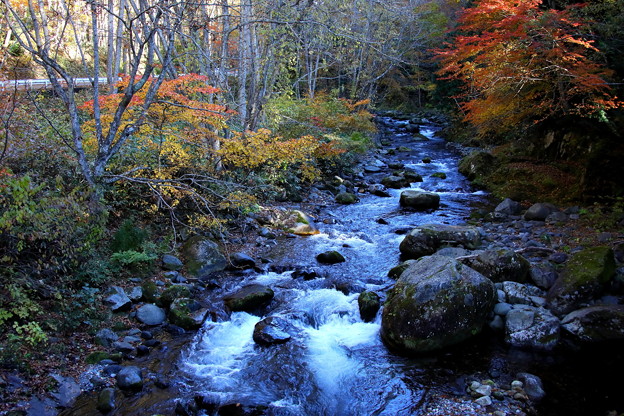 写真: 照葉峡　秋の渓流風景