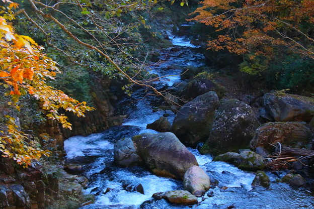 写真: 秋の渓流の流れ照葉峡