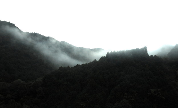 写真: 東名高速道路よりの雲海