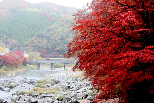 写真: 紅葉と巴橋