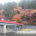 待月橋の観光客　香嵐渓の秋