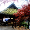香嵐渓のお店の秋