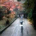 香積寺の参道の秋