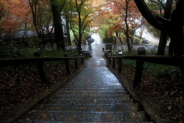 写真: 香積寺の階段の紅葉