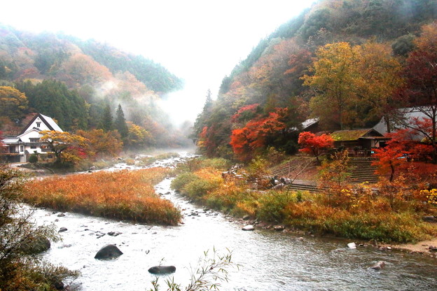 写真: 川見茶屋の巴川の紅葉　雨の日