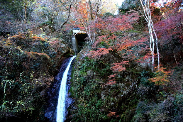 写真: 滝の上層部の紅葉