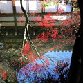 写真: 水面の映りの紅葉