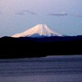 Photos: 狭山湖２０２２年元日の富士山