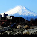 Photos: 快晴の富士山