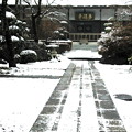 Photos: 積雪の多福寺