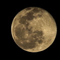 ２月８日の満月（２０２２年）スノームーン