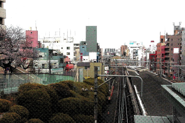 Photos: 駒込駅より山手線風景