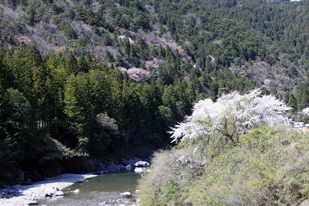 関市板取川の風景